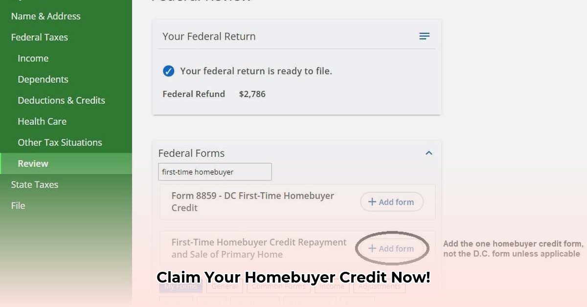 first-time-homebuyer-credit-repayment-lookup